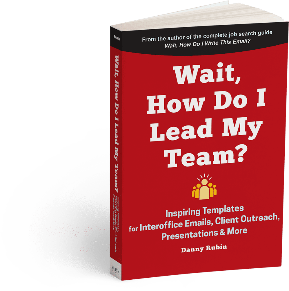 How Do I Lead My Team Book By Rubin