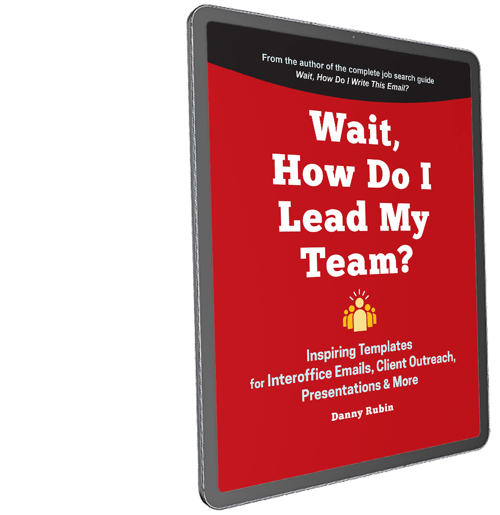 How Do I Lead My Team Book By Rubin For Tablet